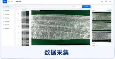 肠衣缺陷检测系统界面